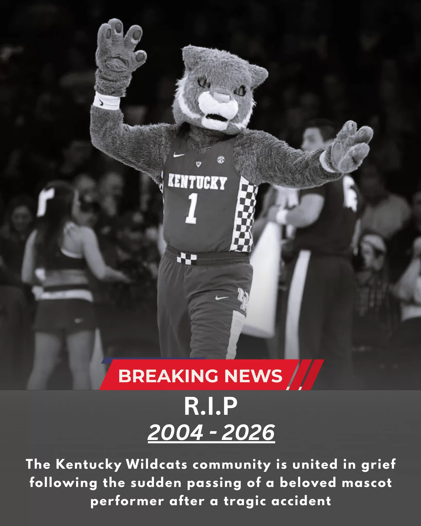 Tragedy Strikes Big Blue Nation as Kentucky Wildcats Mourn the Heartbreaking Loss of Beloved Mascot Performer